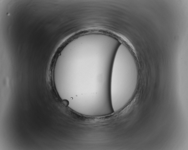 X0000099470879200805090811