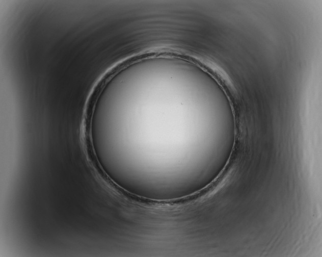 X0000099470880200805090811