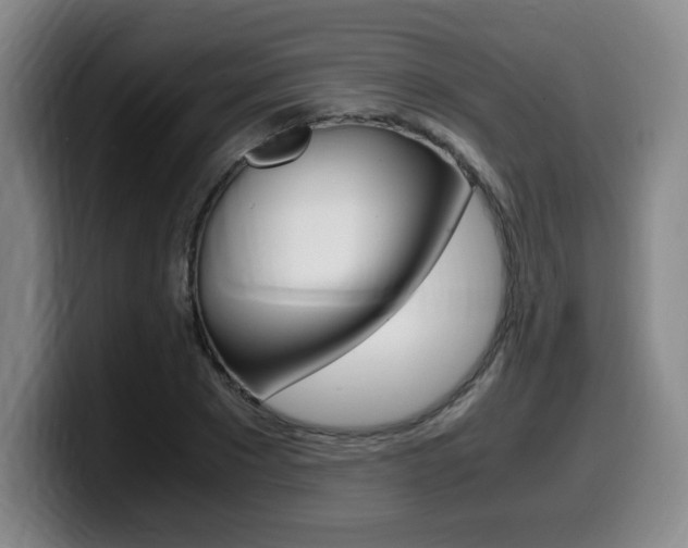 X0000099470881200805090811