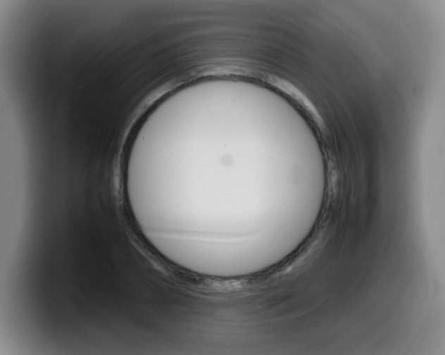 X0000099470882200805090811