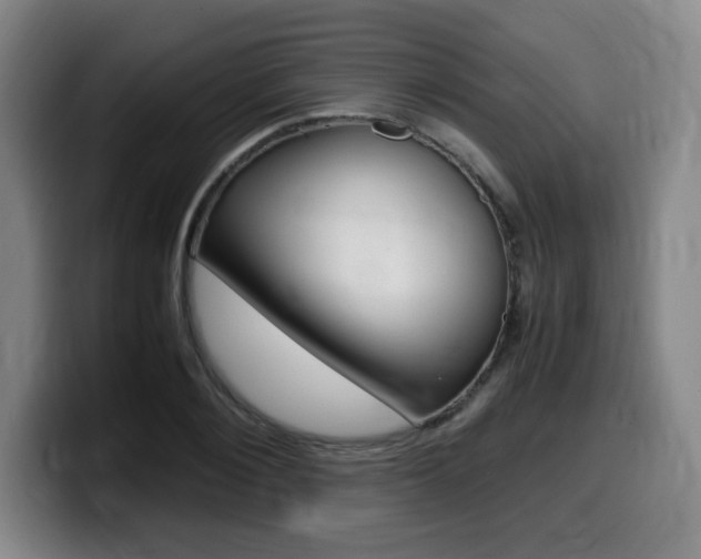 X0000099470884200805090811