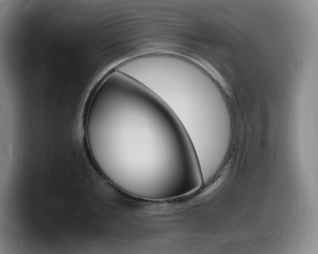X0000099470885200805090811