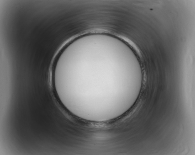 X0000099470886200805090811