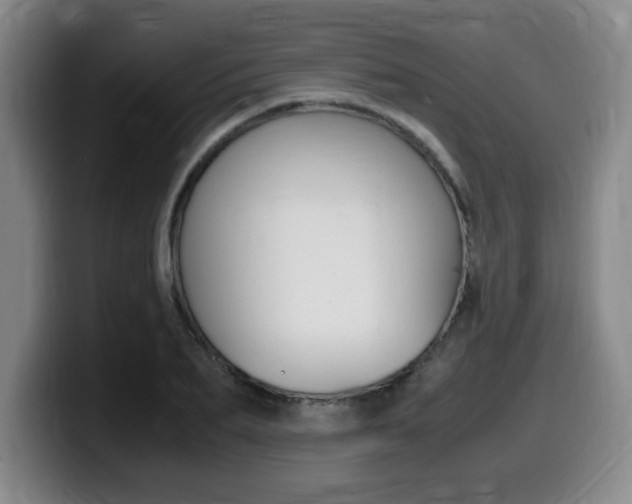 X0000099470887200805090811