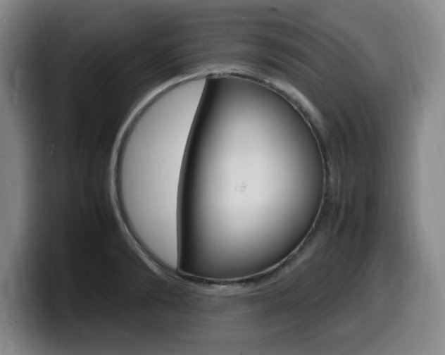 X0000099470894200805090811