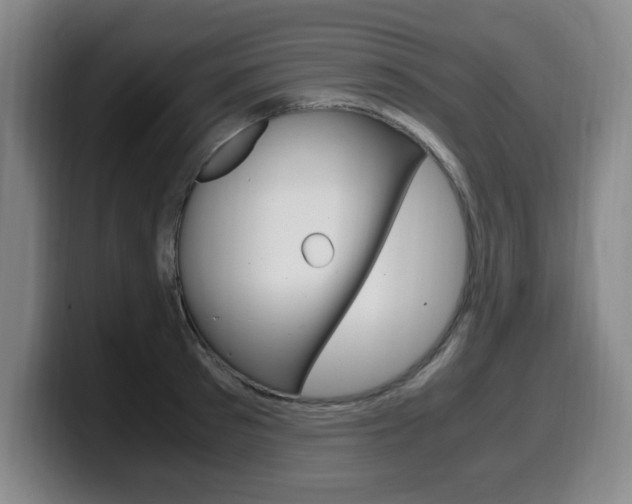 X0000099470897200805090811