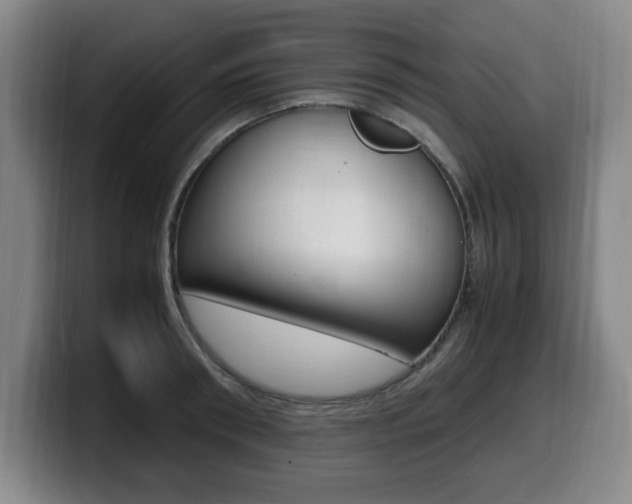 X0000099470898200805090811