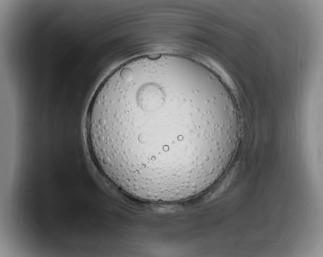 X0000099470899200805090811
