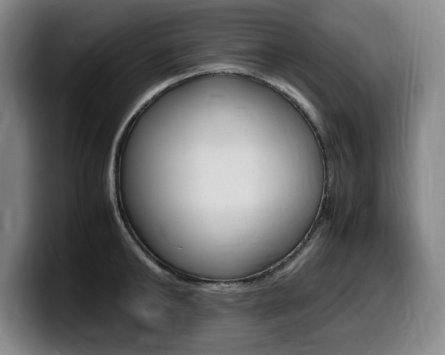X0000099470902200805090811