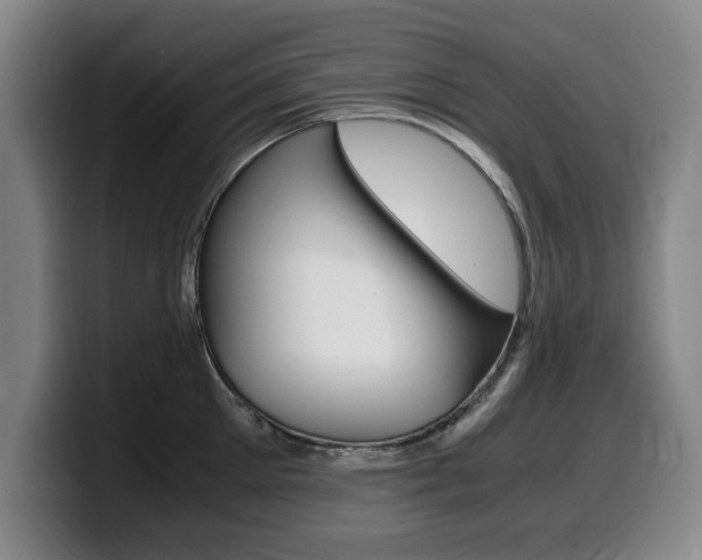 X0000099470905200805090811