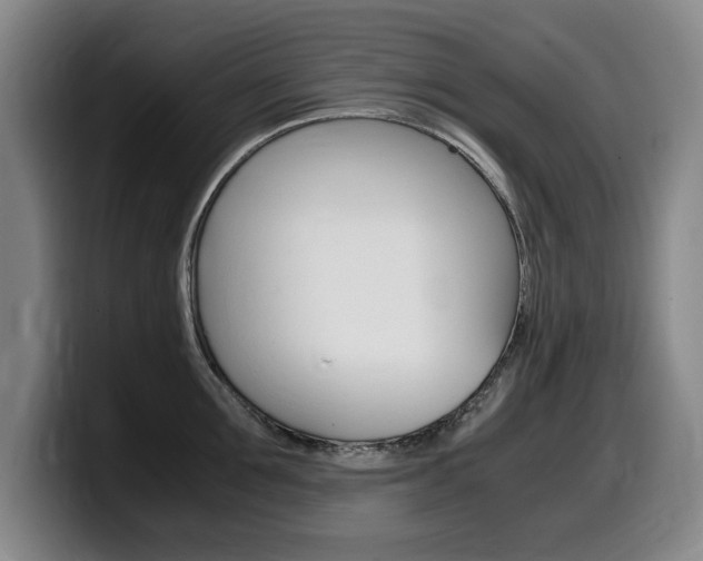 X0000099470907200805090811