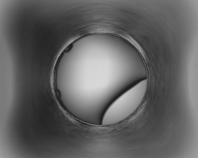 X0000099470909200805090811