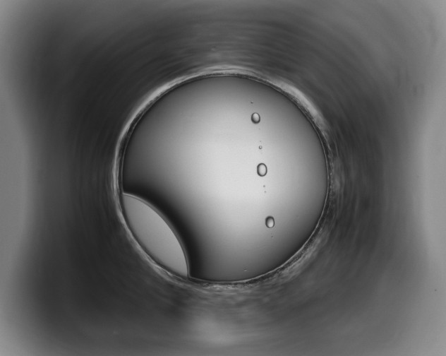 X0000099470910200805090811
