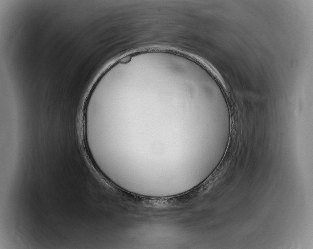 X0000099470911200805090811