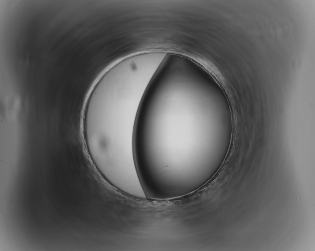 X0000099470912200805090811