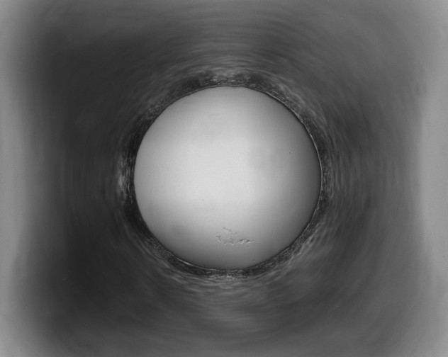 X0000099470914200805090810