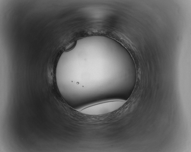 X0000099470915200805090810