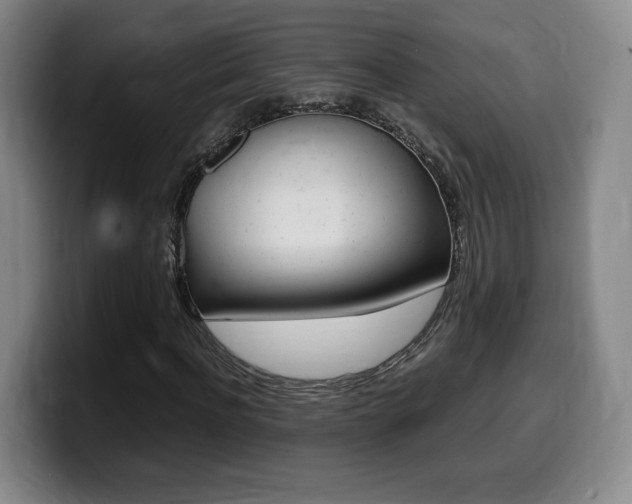 X0000099470916200805090810
