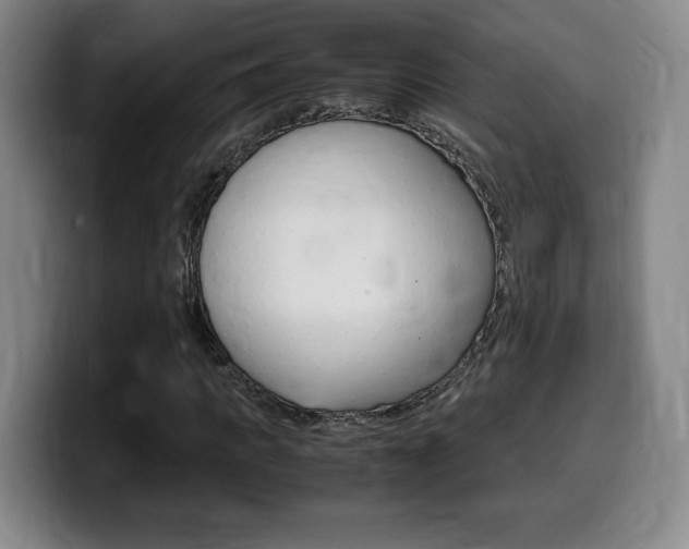 X0000099470917200805090810