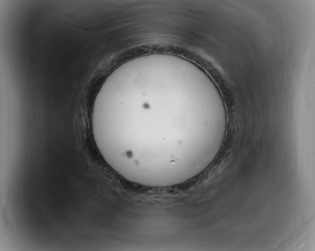X0000099470918200805090810