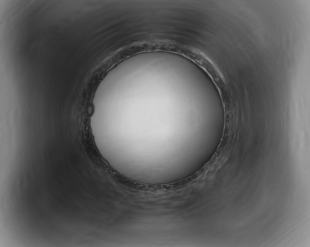 X0000099470919200805090810
