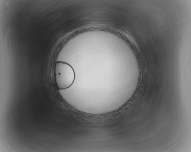 X0000099470920200805090810