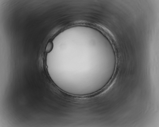 X0000099470921200805090810
