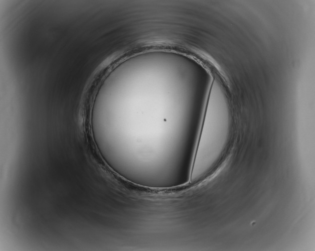 X0000099470922200805090810