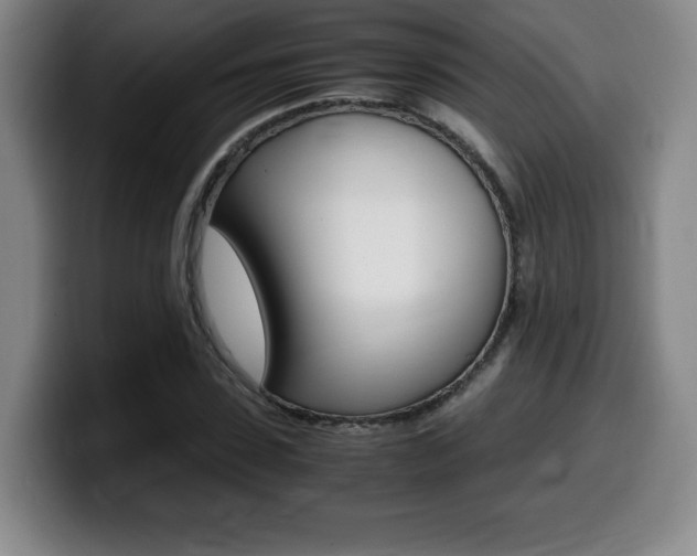X0000099470923200805090810