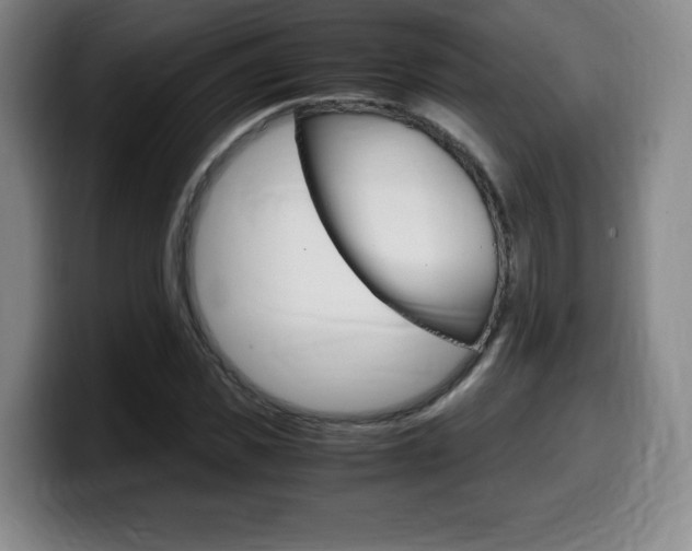 X0000099470925200805090810