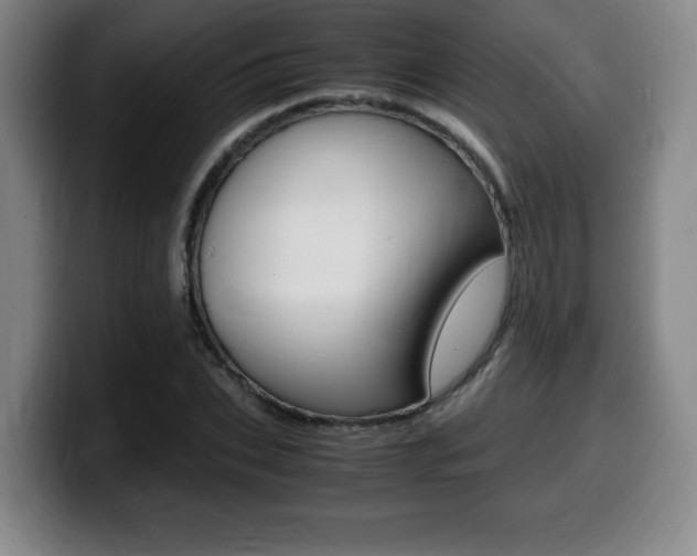X0000099470927200805090810