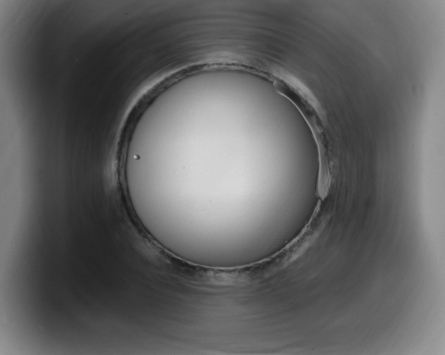X0000099470928200805090810