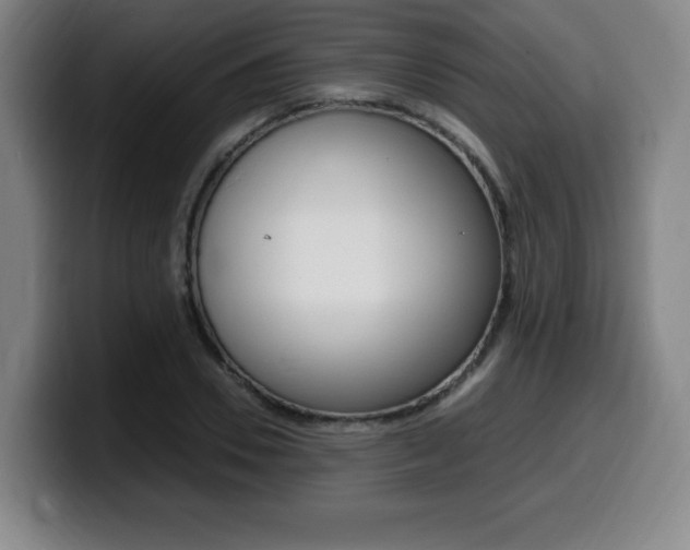 X0000099470930200805090810