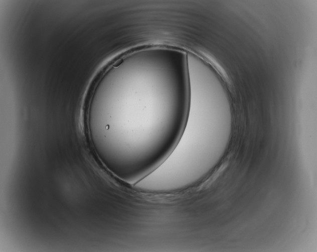X0000099470932200805090810