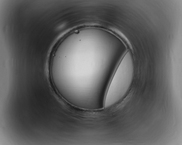X0000099470935200805090810