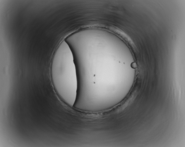 X0000099470937200805090810