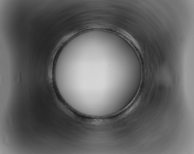 X0000099470938200805090810