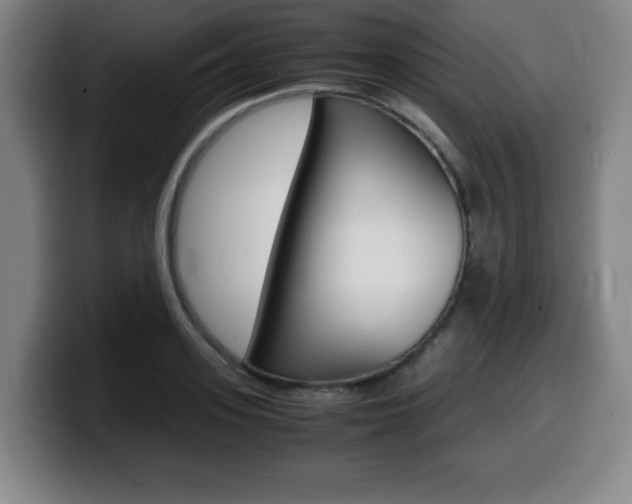 X0000099470939200805090810