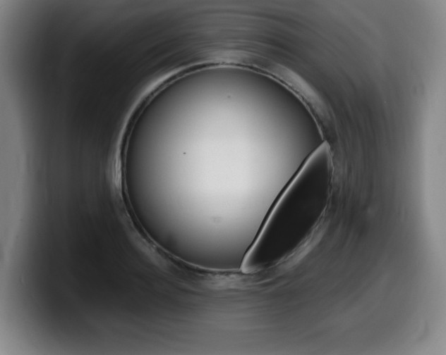 X0000099470940200805090810