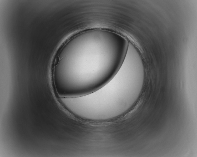 X0000099470942200805090810