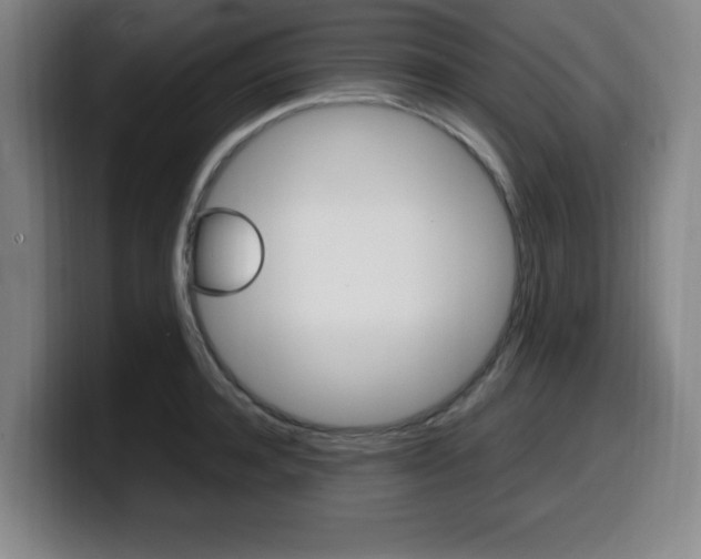 X0000099470944200805090810