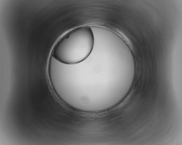 X0000099470948200805090811
