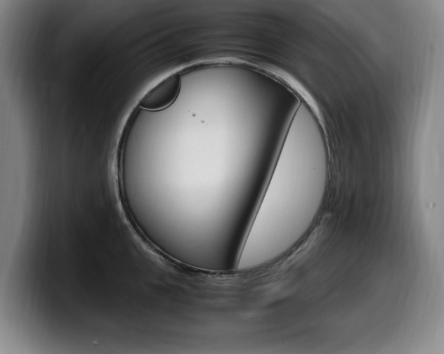 X0000099470951200805090811