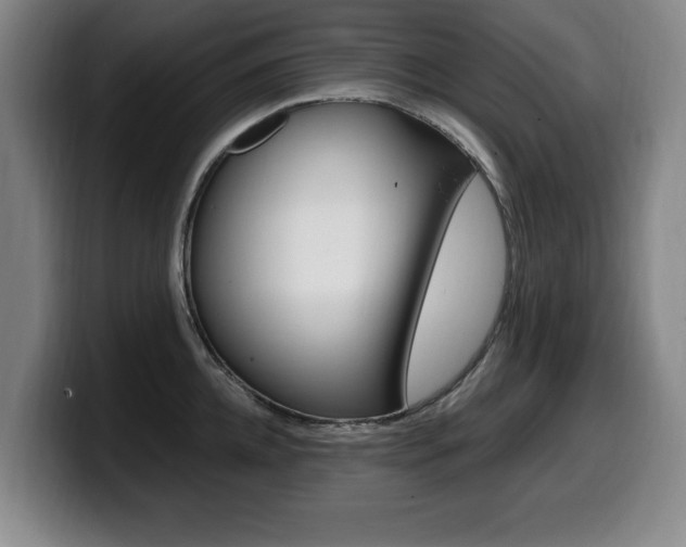X0000099470952200805090811