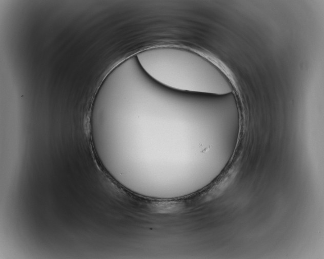 X0000099470953200805090811