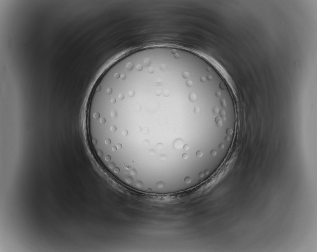X0000099470957200805090811