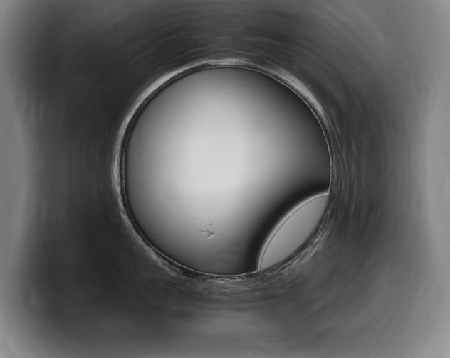 X0000099470959200805090811