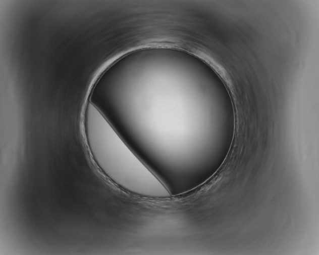 X0000099470960200805090811