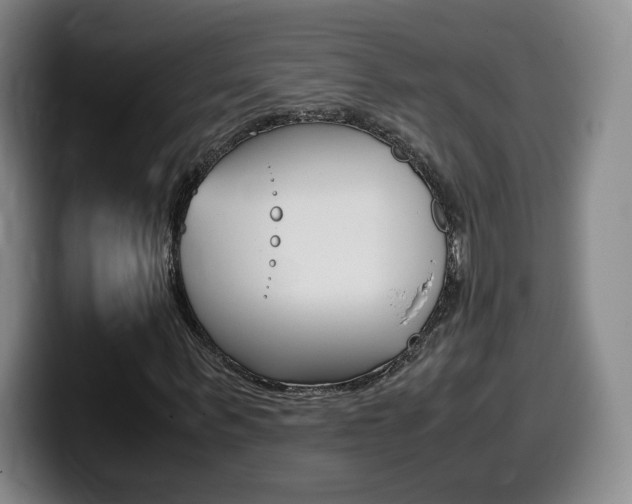 X0000099470963200805090810
