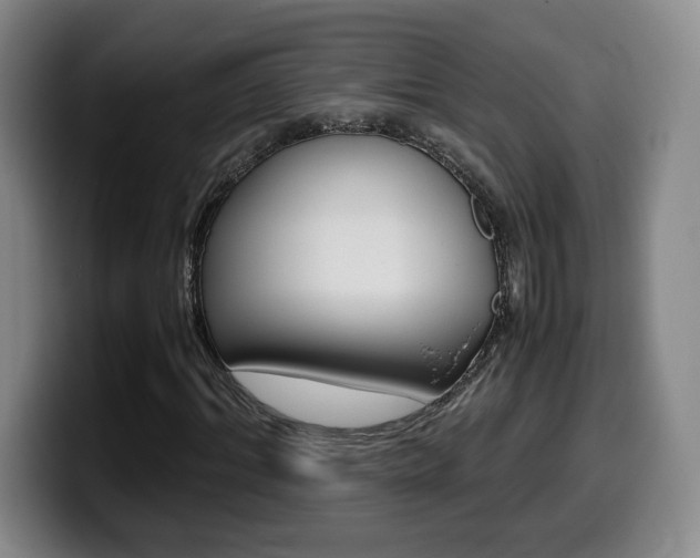 X0000099470964200805090810